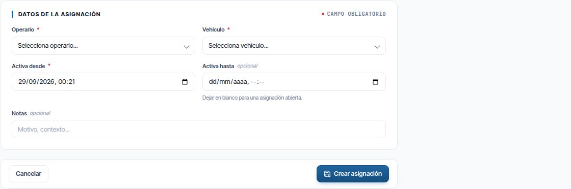 El formulario «Nueva asignación manual».